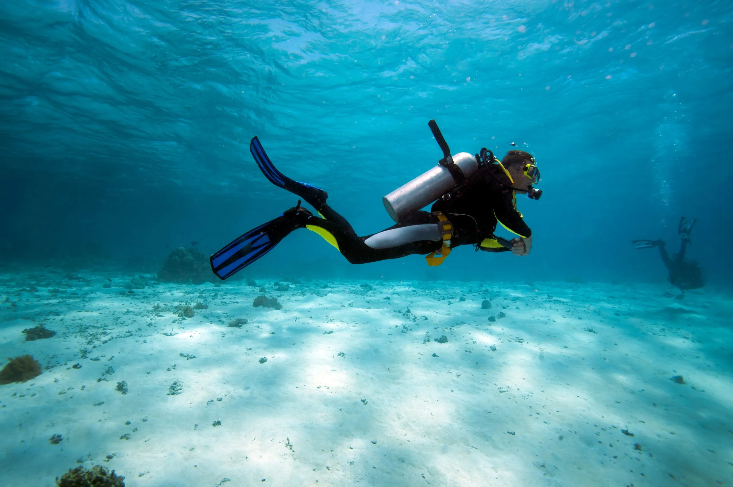 diver