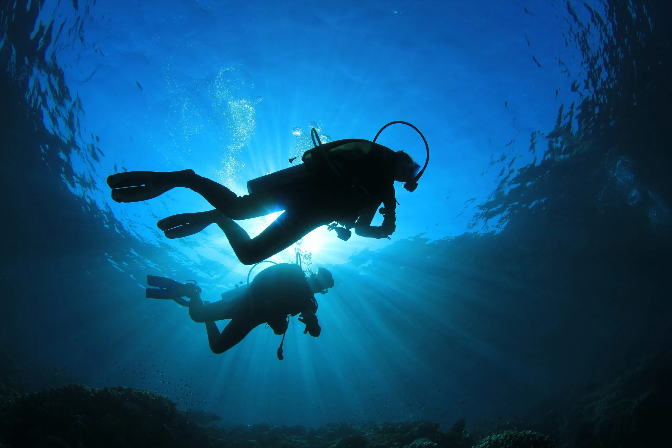 two-scuba-divers